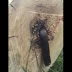 Homem cortou uma árvore, e jamais esperava encontrar ISSO