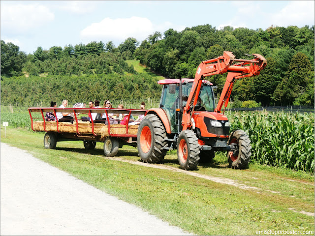 Granjas de Massachusetts: Tractor de la Cider Hill Farm 