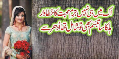 Ik Mein Hi Nahin Jurm-e-Mohabbat Ka Khatawar - 2 line urdu poetry