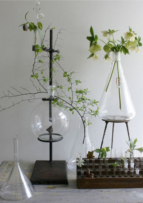 blog deco - fleurs nouvelle tendance