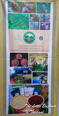 Coffee Market in Nan, North Thailand