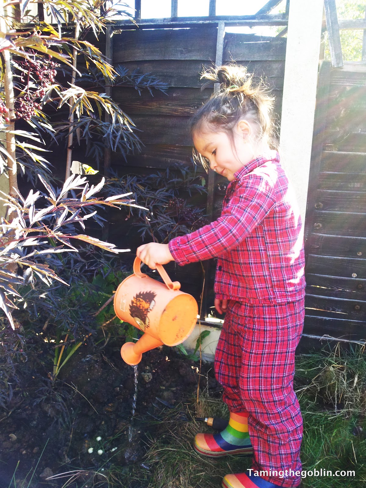 Taming the Goblin: Kids Co-op