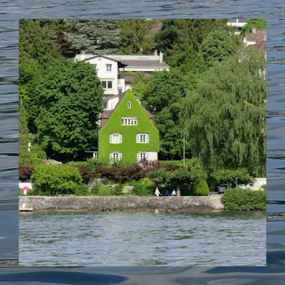 House covered in moss on Zurich Lake