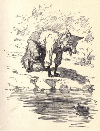 Mythology and Folklore UN-Textbook: Brer Rabbit: Mr. Fox Tackles Old ...