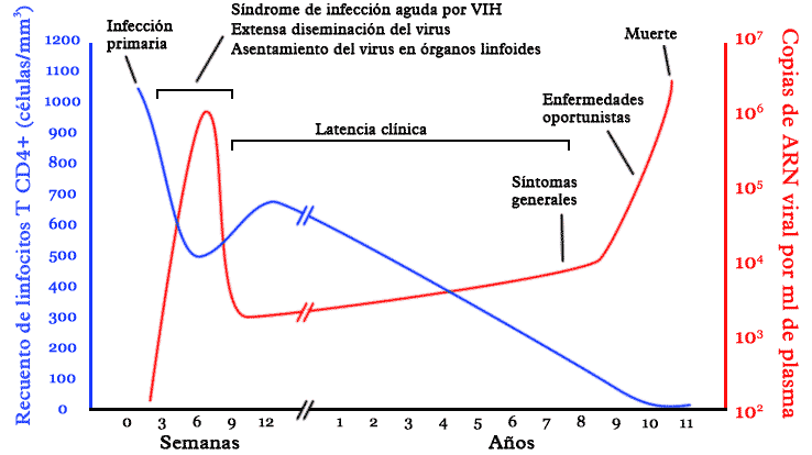 cienciasnaturales3: VIH / SIDA