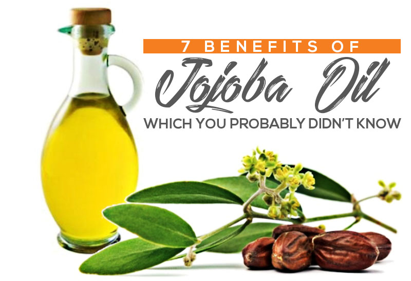 Ergonomics & Chiropractic Care 7 Benefits Of Jojoba Oil Which You Probably Didn’t Know