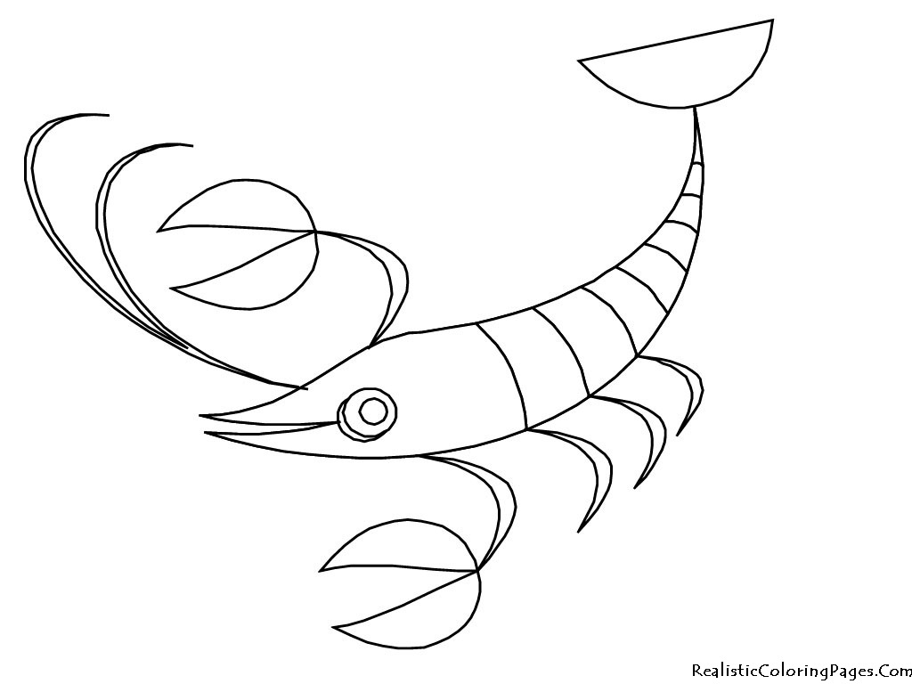 ocean animal coloring pages for kids - photo #43
