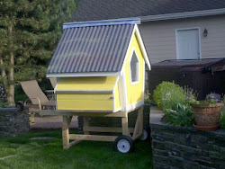 coop chicken chicks brought built three