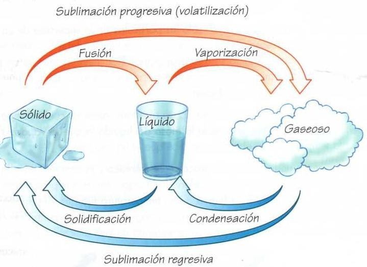 SEXTO GRADO GRUPO 