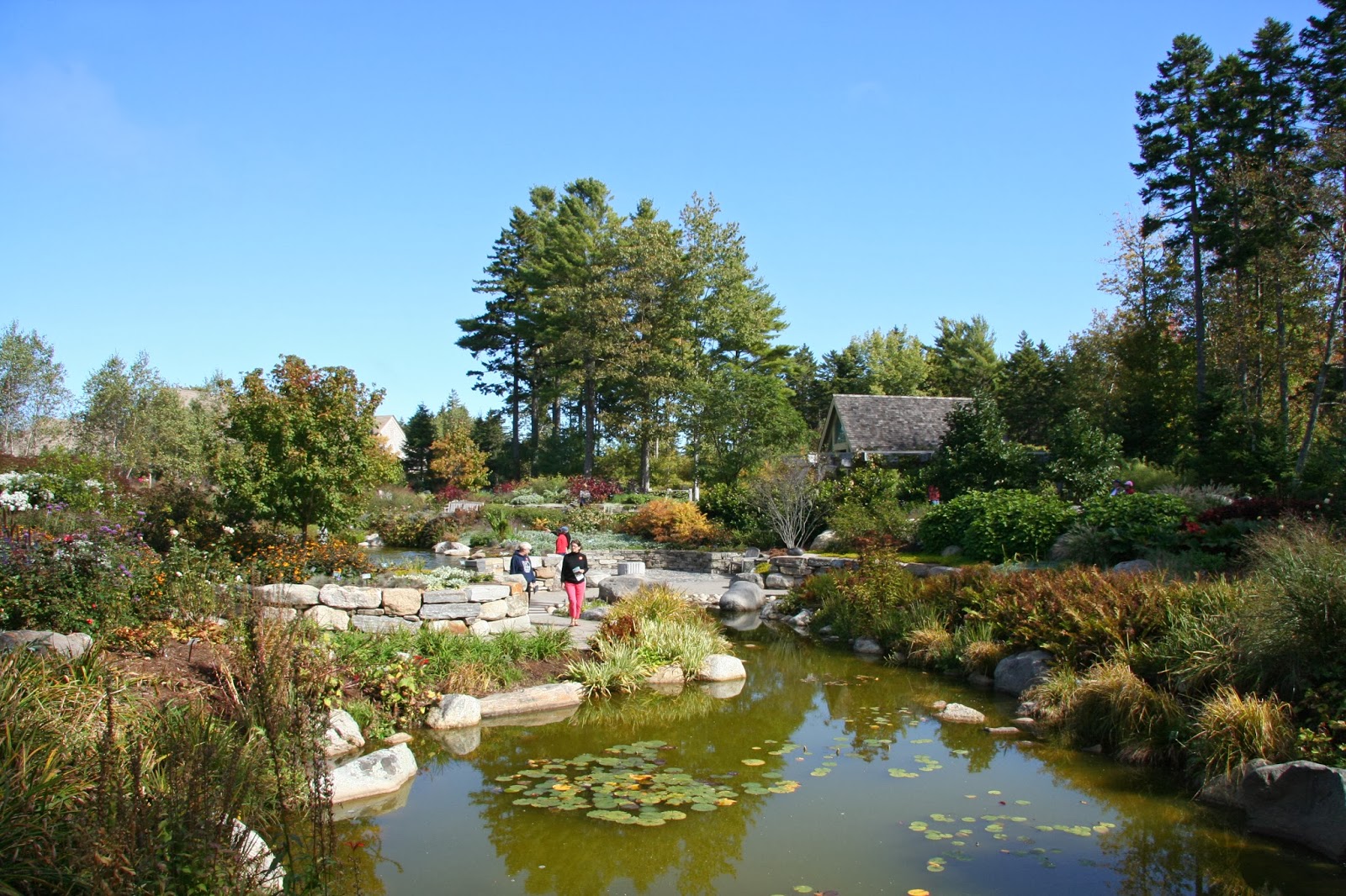 Daffodils & Daydreams Garden Visit Maine Coastal Botanical Gardens
