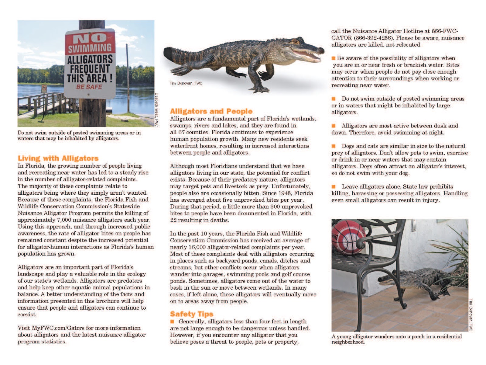 South Dade Updates Local Gator? Statewide Nuisance Alligator Program