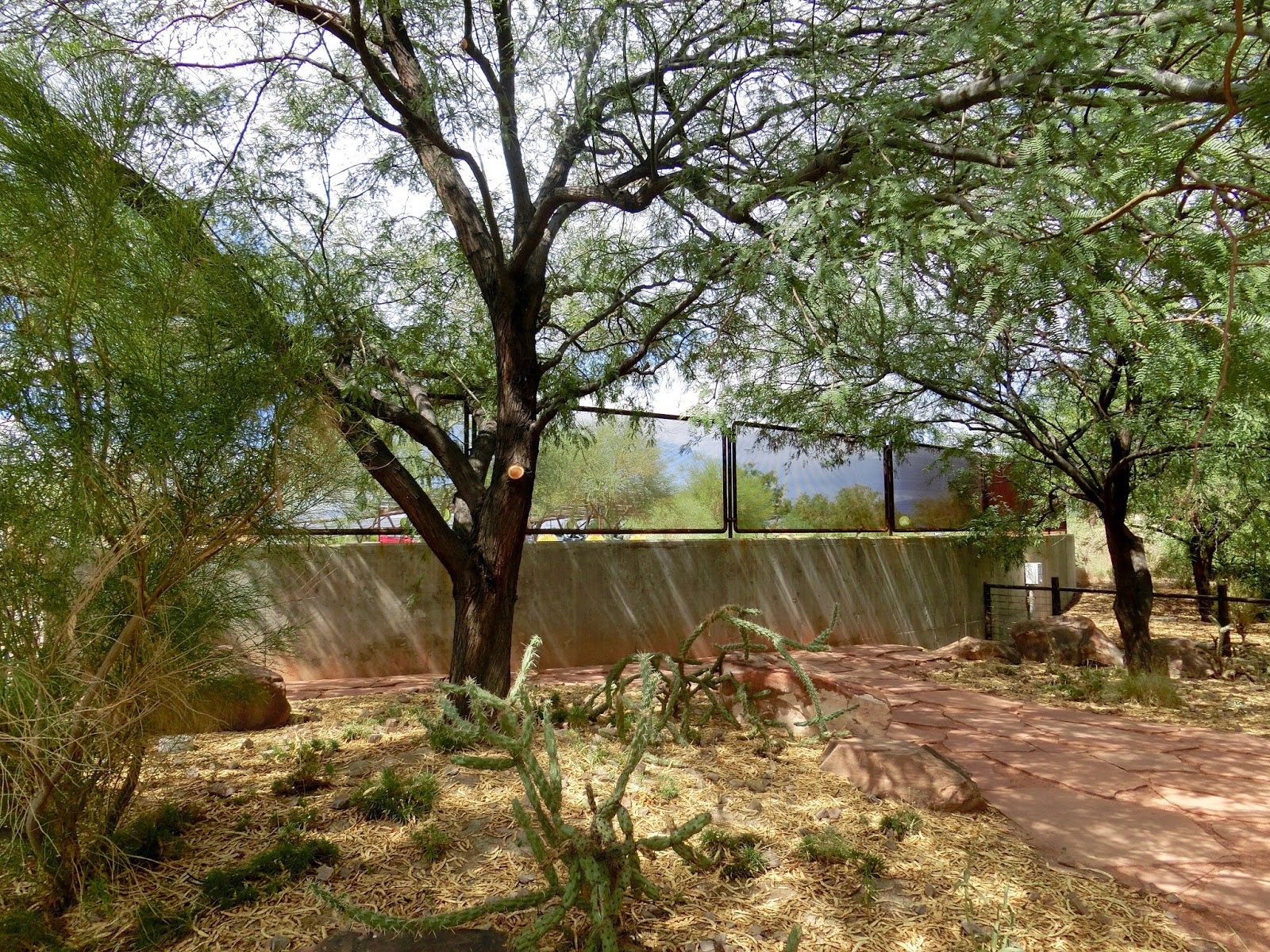 Nau speak Vegas September visit to the Springs Preserve & OriGen