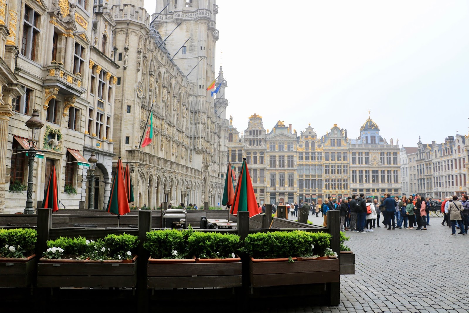 The Kitchen Lioness A Visit To Antwerp Belgium Part I