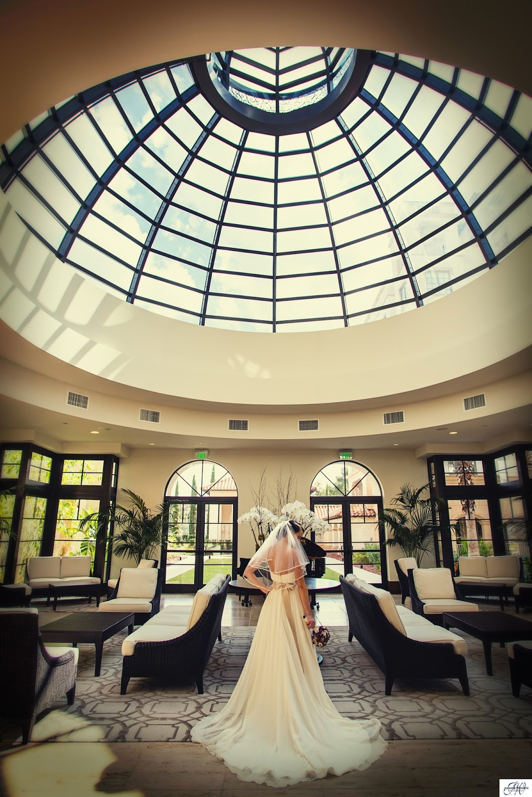 Orlando Photographers Wedding Photography Wedding Photography The Alfond Inn In Winter Park Polasek Museum And Quantum Leap Winery Orlando