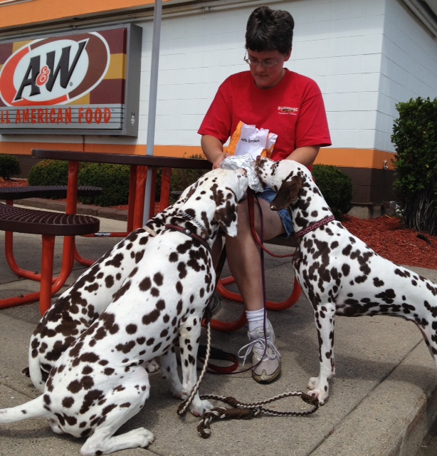 Gone To The Dogs 7/29/12 8/5/12