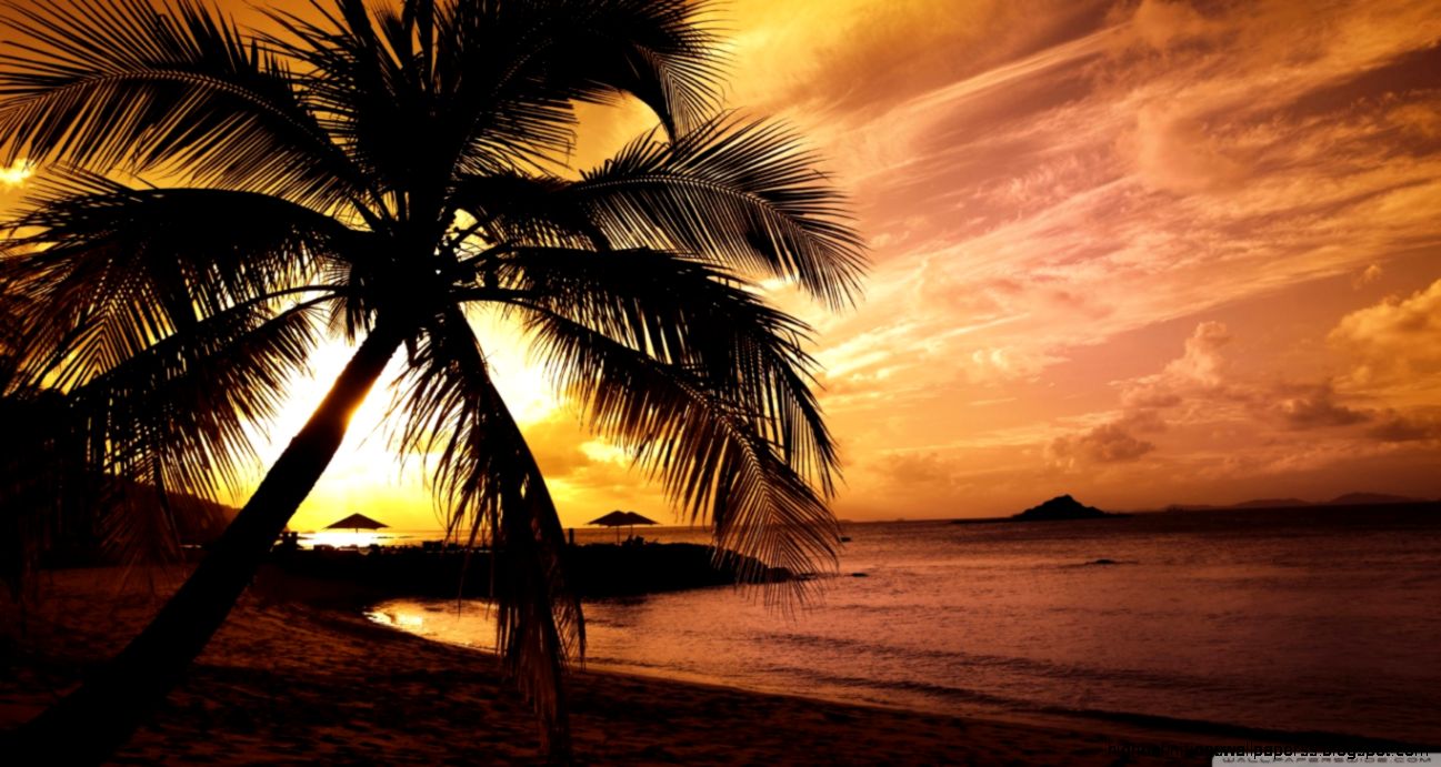 Tropical Beach Sunset Hd Wallpaper Desktop
