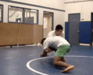 10.gif