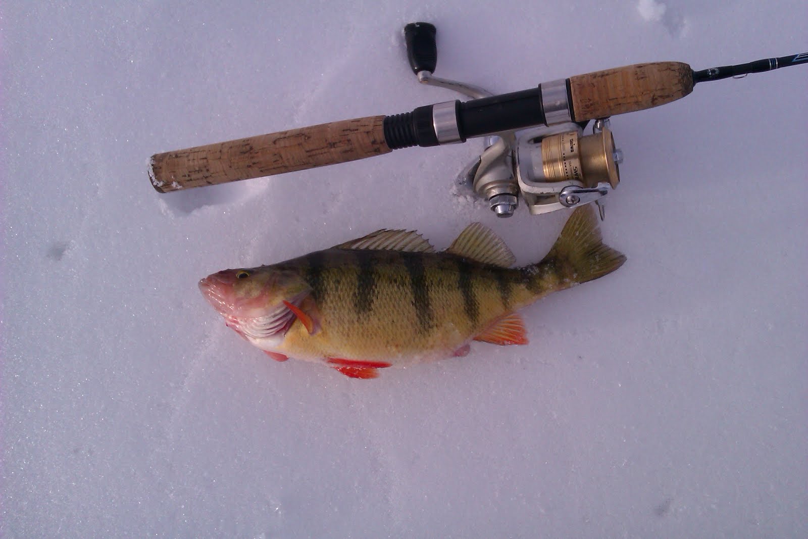 A Beginner's Guide to Ice Fishing.