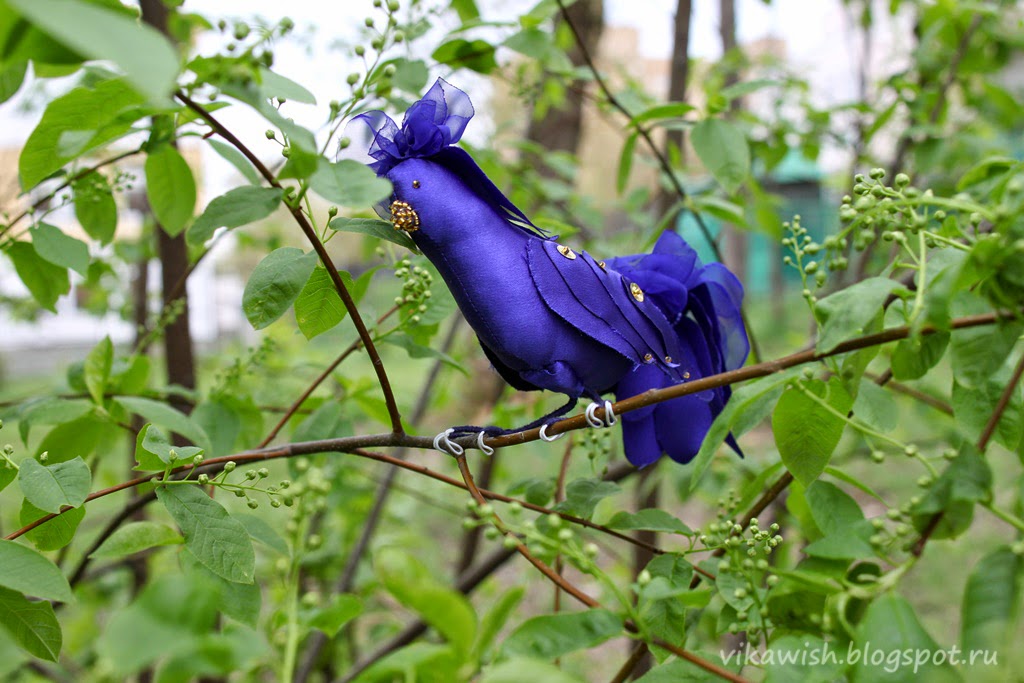 Опылитель синяя птица. Жималость "синяя птица". Синяя птица счастья. Виноград дзила птица синяя. Синяя птица птица счастья.