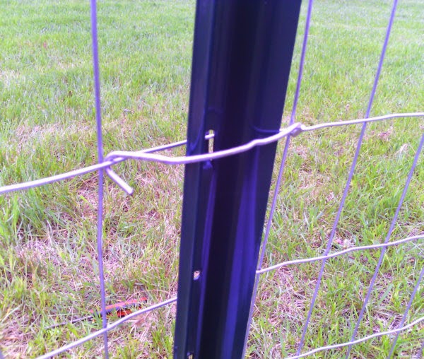 Speechless Workin Stiff Installing TPost Clips on Garden Fence