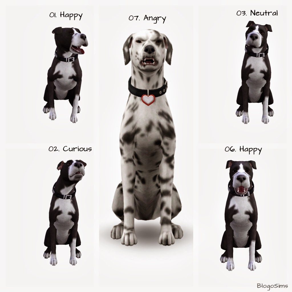Best Daily Sims 3 S3 Large Dog Poses By BlogoSims best-daily-sims-3-s3-large-dog-poses-by-blogosims