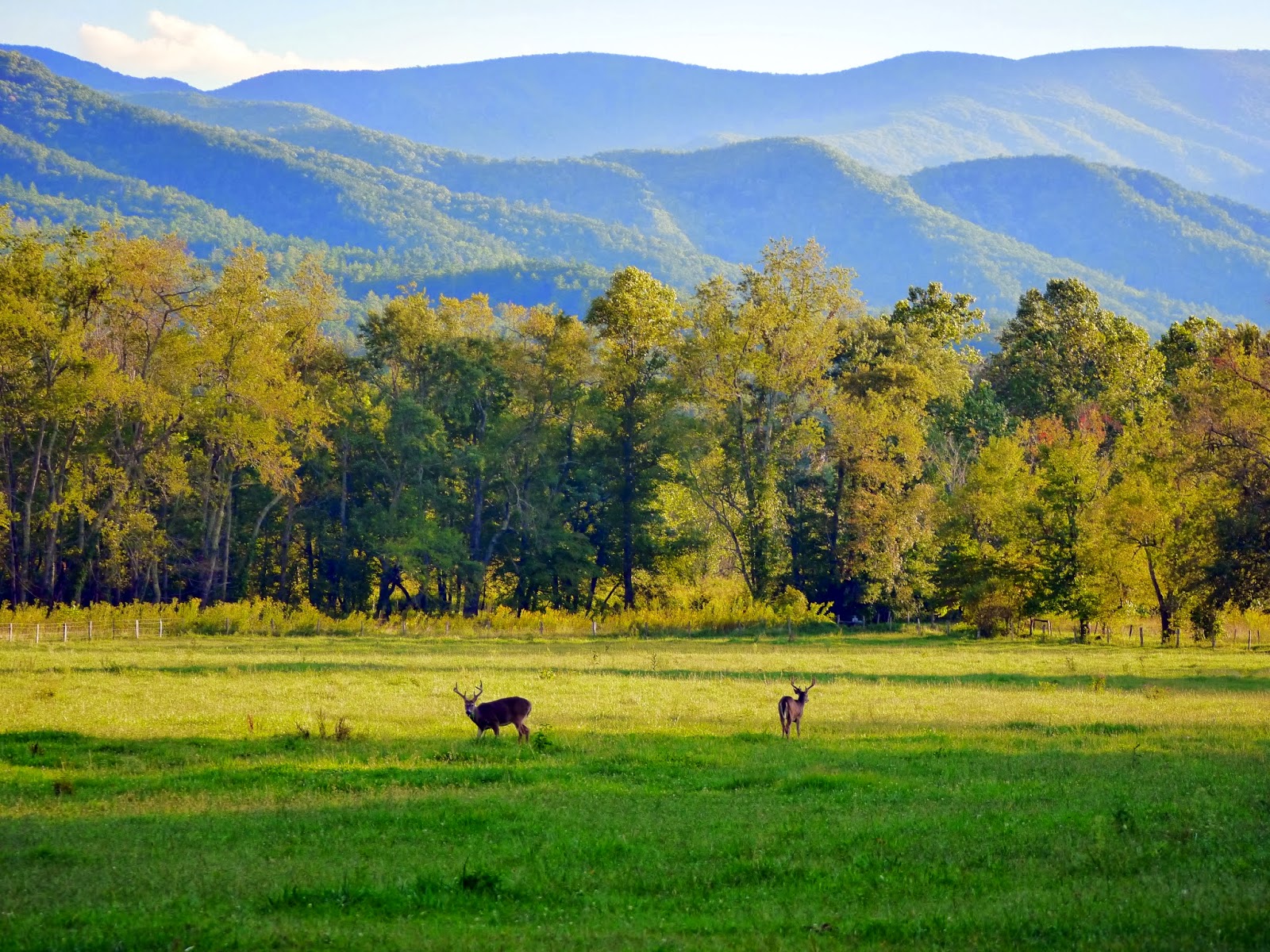 American Travel Journal Cades Cove Great Smoky Mountains National Park