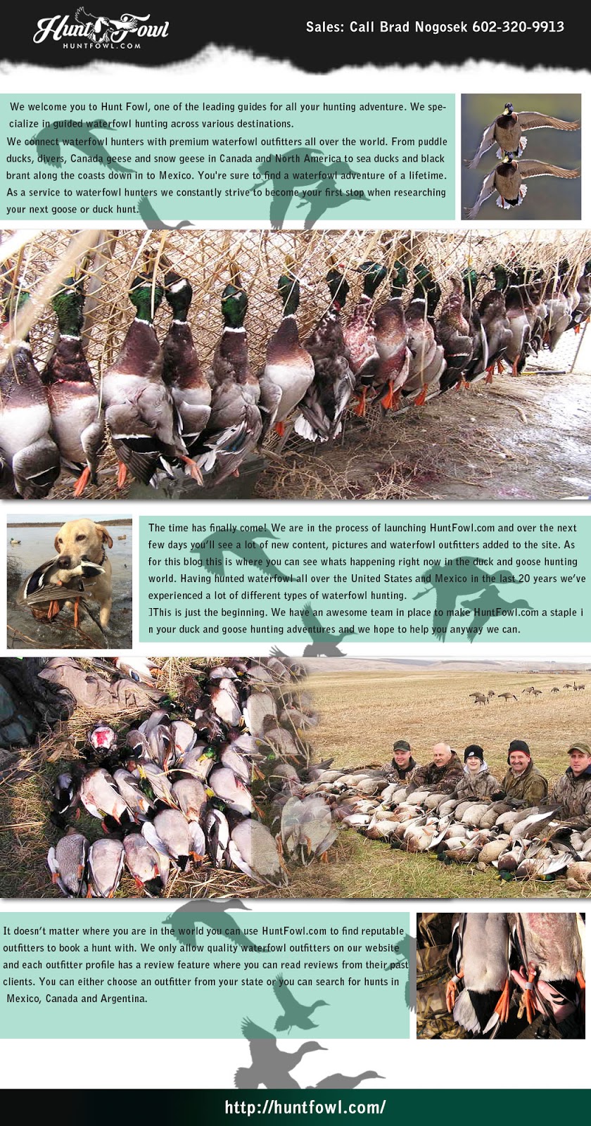 Stuttgart Arkansas Duck Hunting Guides Guided Goose/Duck Hunts