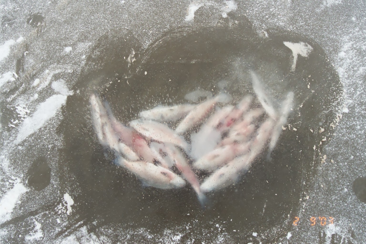 A View from the North Coast When Lake Erie Freezes