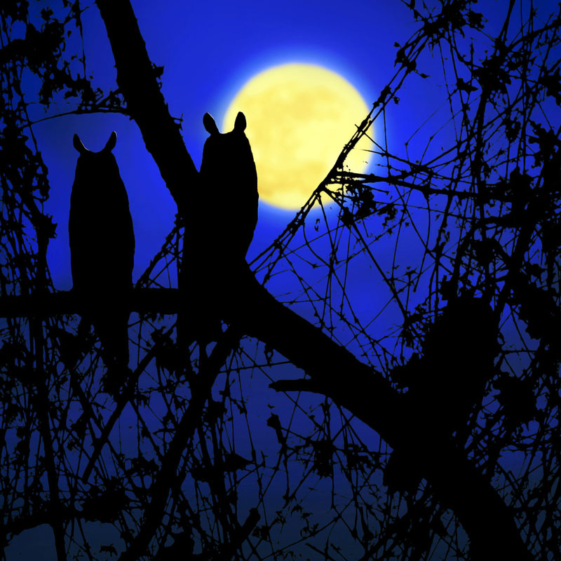 Gino Sartori Luigi Meroni & Sergio Luzzini