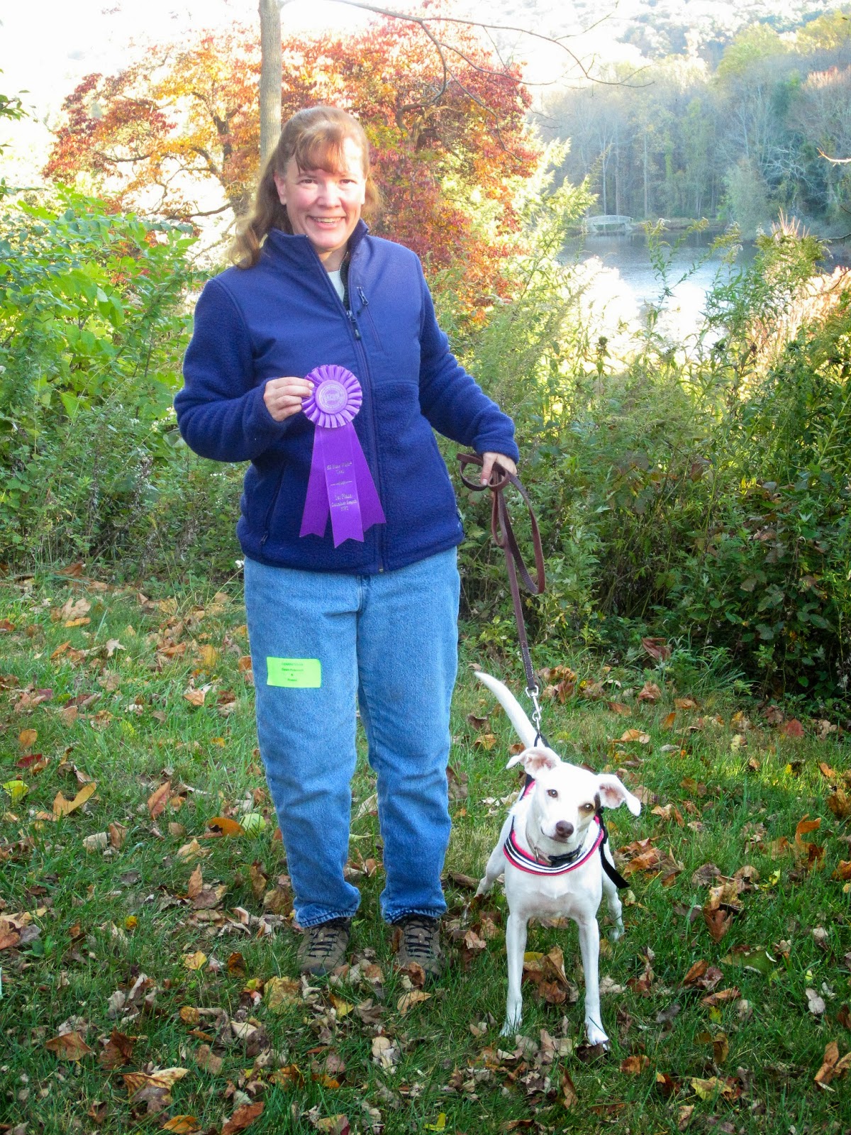 The Second Hand Dogs