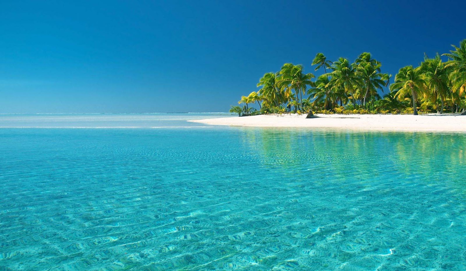 Ekosistem Pesisir dan Laut - SIAP UJIAN