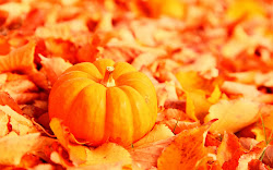 pumpkin autumn background wallpapers pumpkins fall desktop harvest leaves october halloween pink flowers hd flower november season