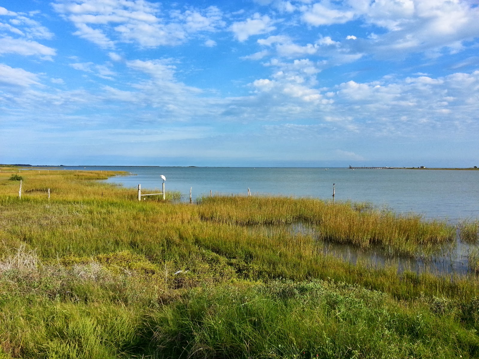 My Texas Parks and Outdoors Goose Island State Park Review