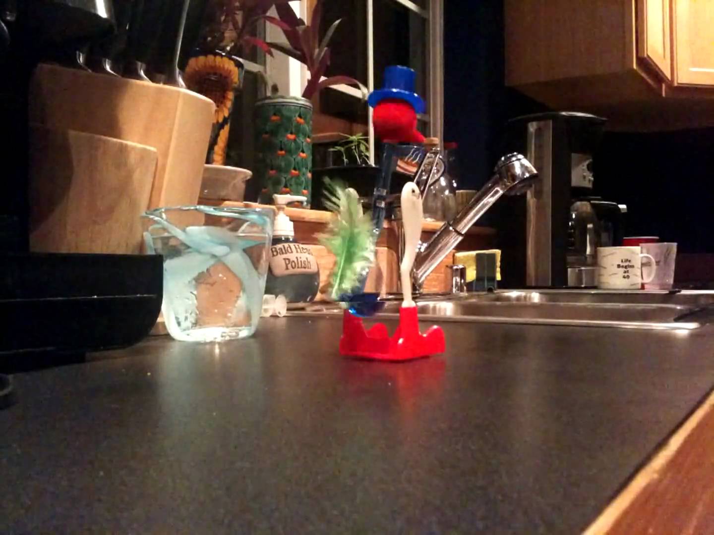 Bird In Everything Water Drinking Bird Toy