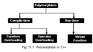 Write a Program show the example of run time polymorphism in C++ ...