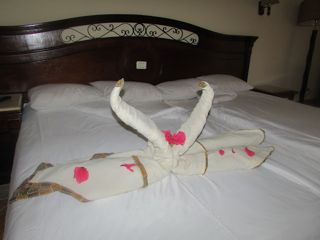 лебеди в номере, Египет