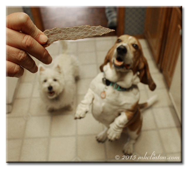 Duck jerky with two dogs in background