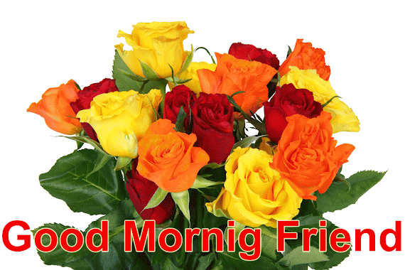 The Best Good Morning Funny Gif Animation