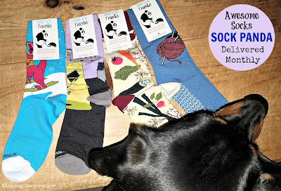 Sock Panda knitting socks subscription funky crazy