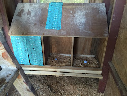 curtains chicken nesting boxes panels stapled three them