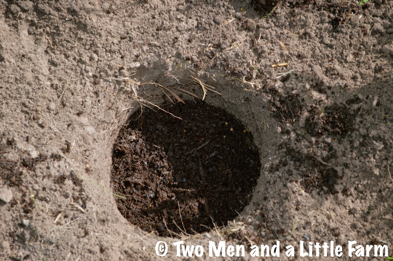 Two Men and a Little Farm DIGGING HOLES IN CLAY SOIL