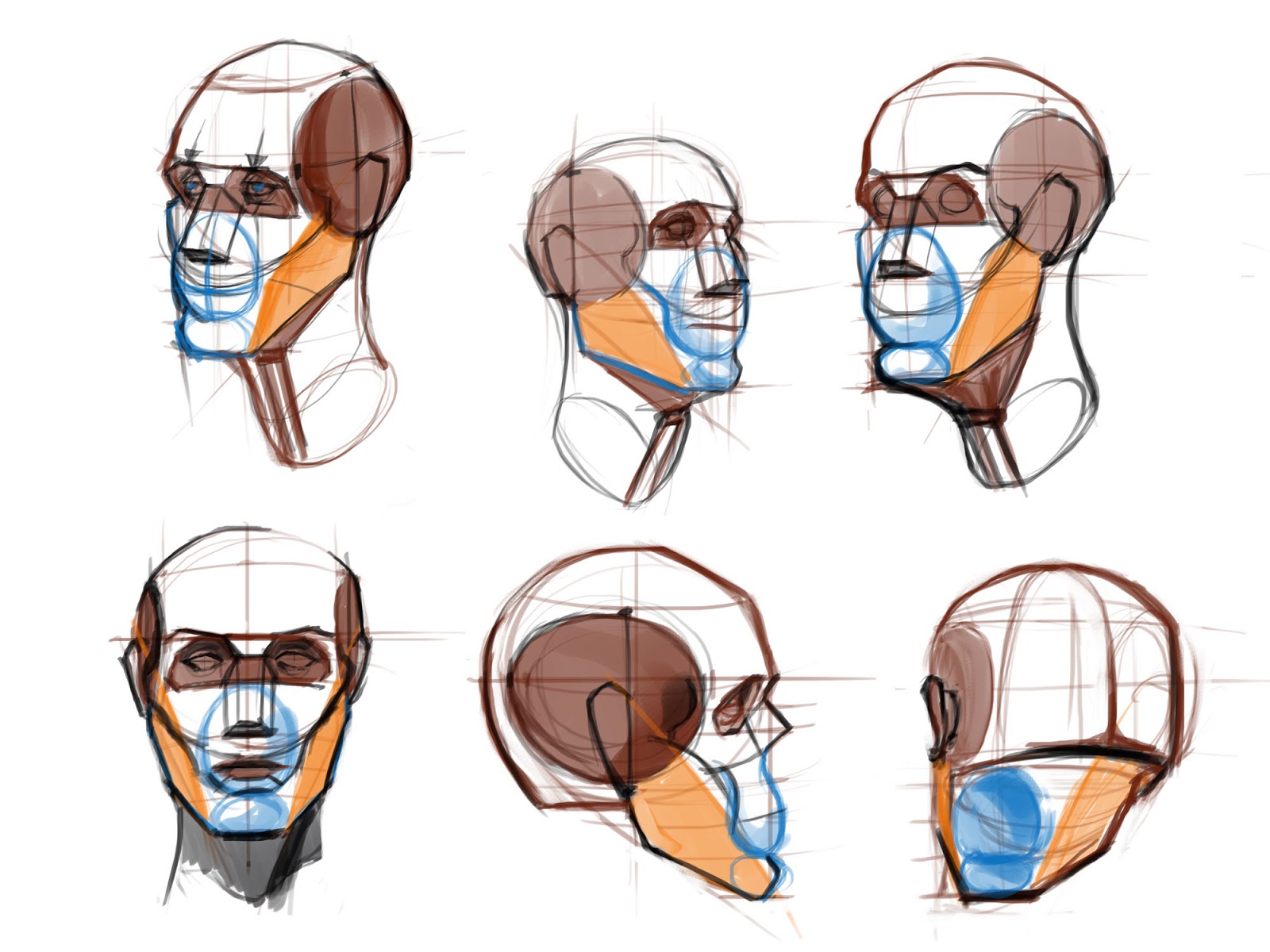 How To Draw A Nose Step By Step Proko