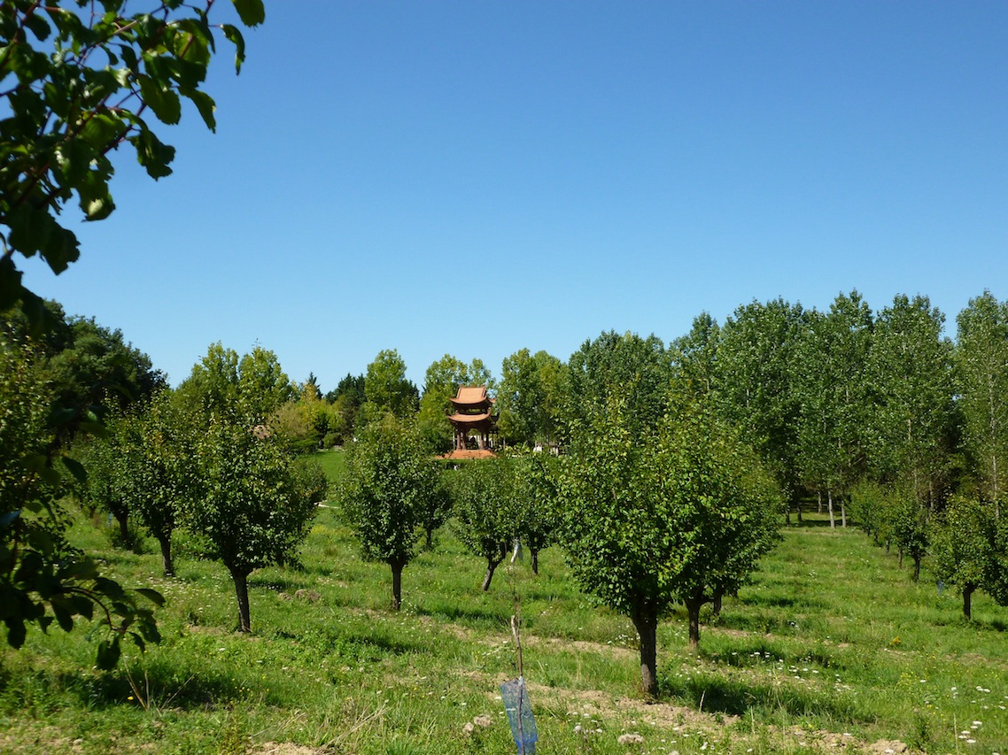 Kerstin's Blog Mindful Experience in Plum Village