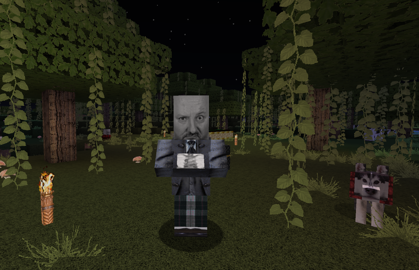 minecraft resource packs photo