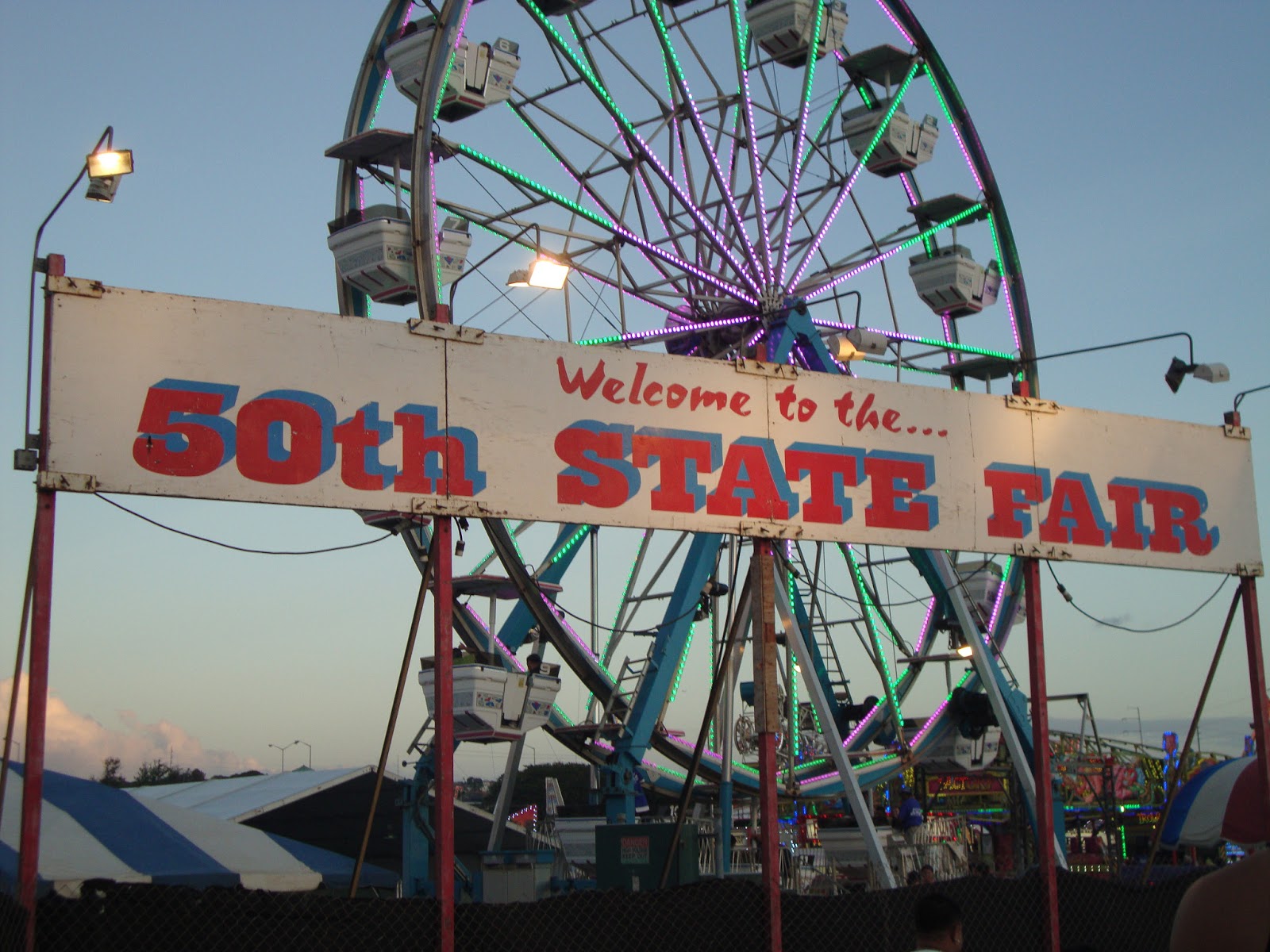 Tasha Plus Boxes Skateboarding and 50th State Fair