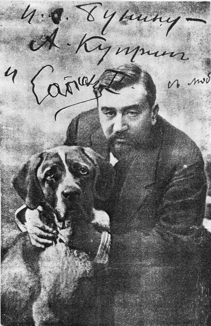 куприн собачка