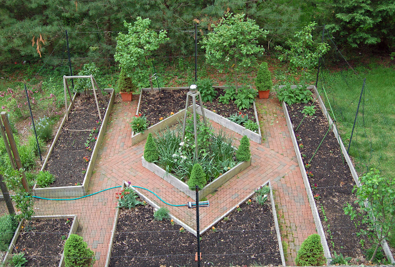 Схема огорода фото. Граница грядок. План огорода и сада в тени. Планировка деревьев в саду с грядками. Планировка сада и огорода граница.