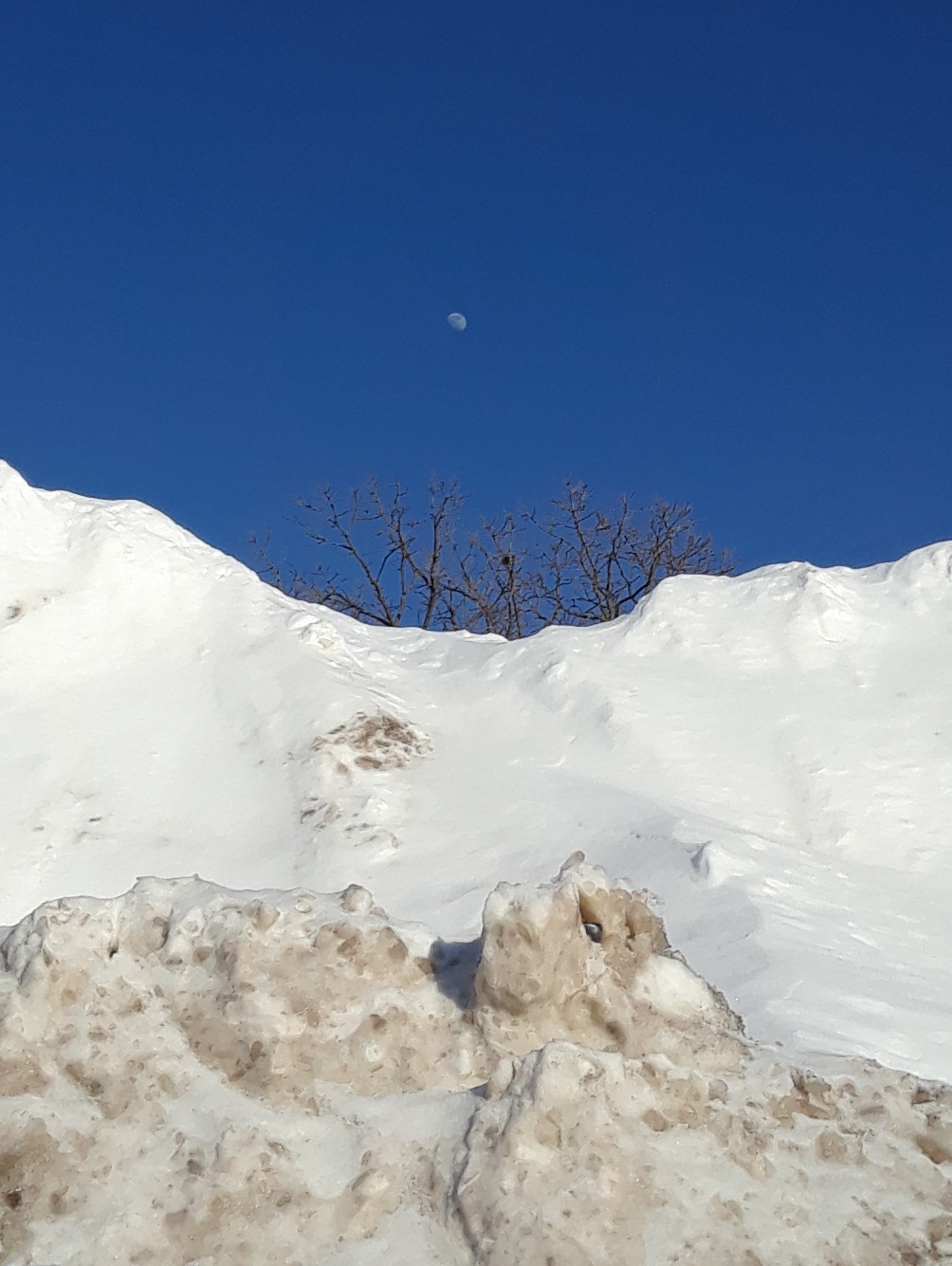 The Wild Reed: A New Snowfall Record