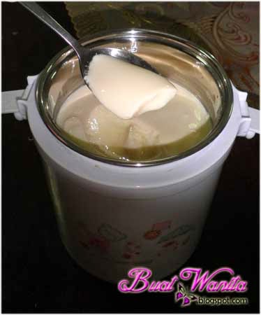 Cara Buat Homemade Yogurt Guna Mini Rice Cooker - Buat Wanita