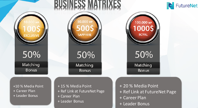 futurenet business matrixes